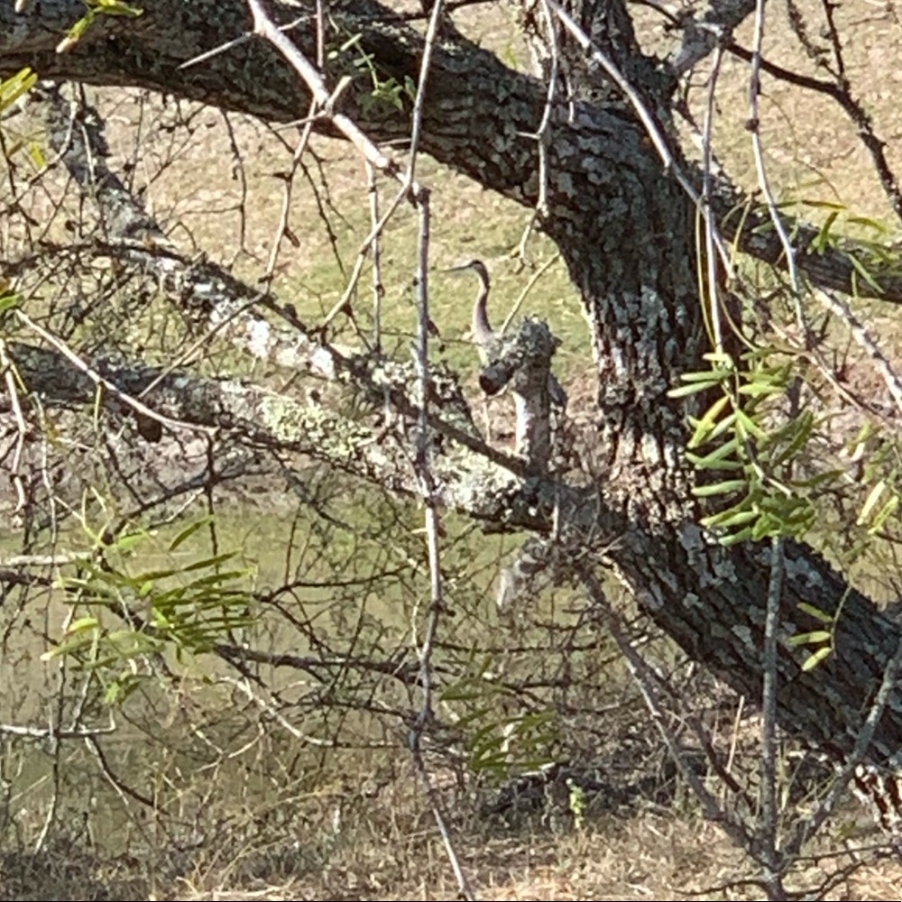 Meet your Posher, Lexi